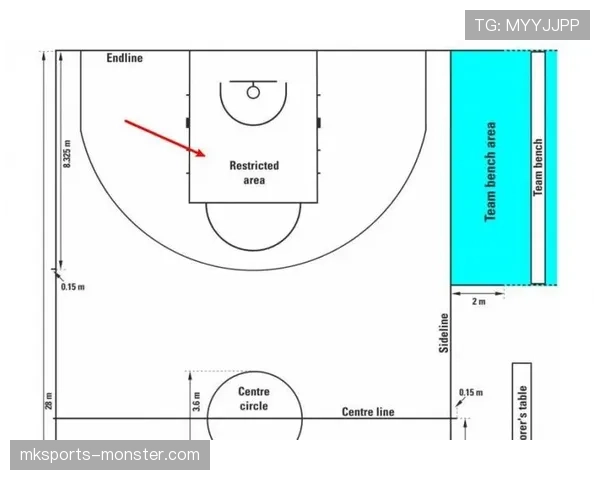 视频回放判罚规则是什么?详解NBA与FIBA的判罚标准与适用场景